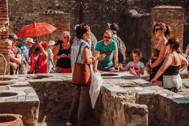 Pompeii: Entry Ticket and Guided Tour with an Archaeologist Tour in French