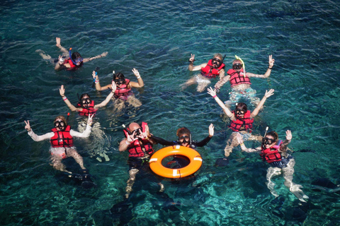 Tour di un giorno intero di snorkeling all&#039;isola di Catalina