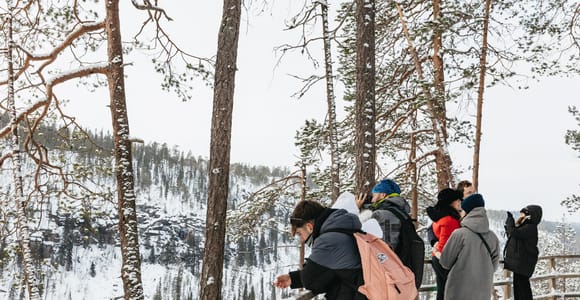 Ab Rovaniemi: Korouoma-Schlucht und gefrorene Wasserfälle Tour