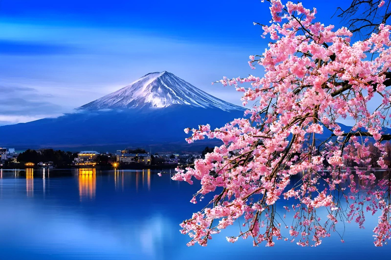 From Tokyo: Mount Fuji & Hakone Full Day Private Tour