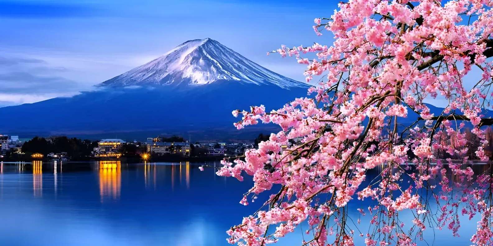 From Tokyo: Mount Fuji & Hakone Full Day Private Tour