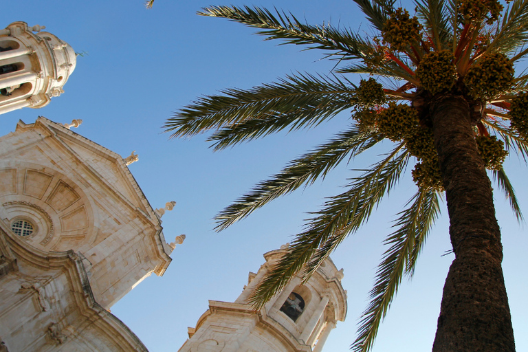 Cadiz: Private Guided Tour with Your Mobile Phone Cadiz: The Code of La Pepa and the Secrets of 1812 with Kit and Live Guide