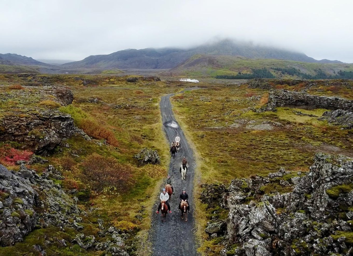 Fra Reykjavík: Vikingetur på hesteryg i Hafnarfjörður