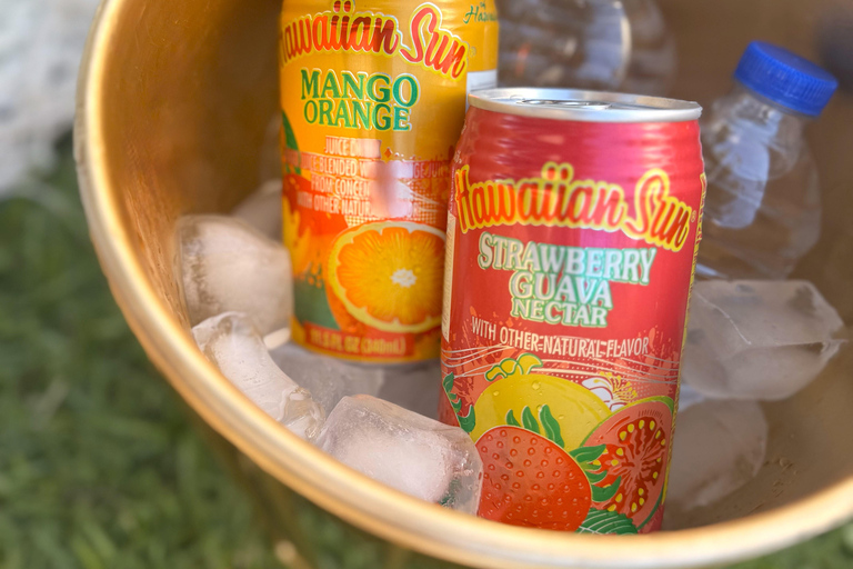 هونولولو: نزهة فاخرة على شاطئ البحر ورسمهونولولو: نزهة فاخرة على شاطئ البحر وتجربة الرسم