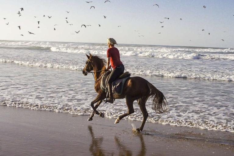 Carthagène : Randonnée à cheval sur la plage au coucher du soleil