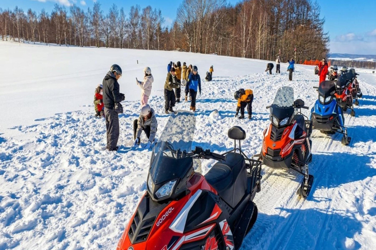 Sapporo: Furano, Biei & Ningle Terrace Winter Light Tour