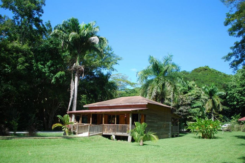 Montego Bay/Negril: Appleton Rum Experience & YS Falls Climb