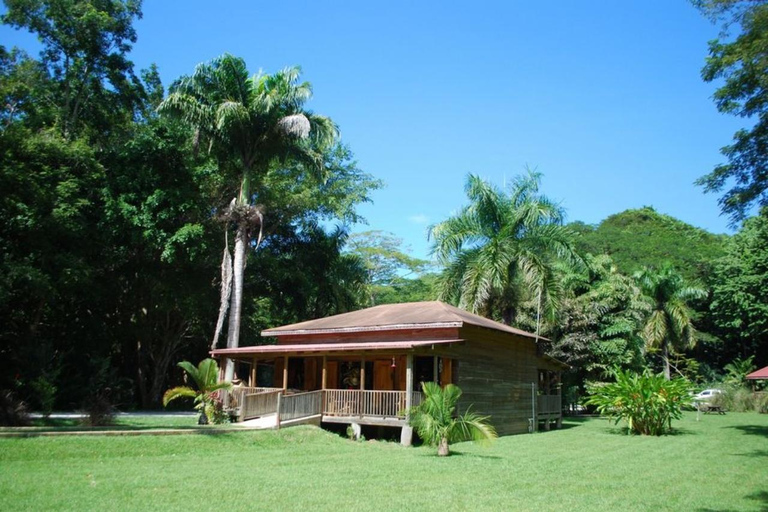 Montego Bay/Negril: Appleton Rum Experience & YS Falls Climb