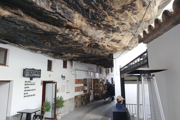Ronda, El Tajo Gorge, and Setenil de las Bodegas from Málaga