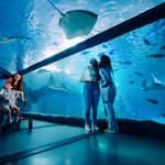 Biglietto d'ingresso per l'acquario SEA LIFE Sydney