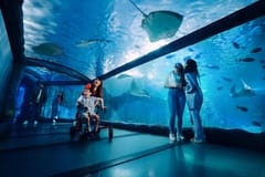 Multiple Attractions Pass