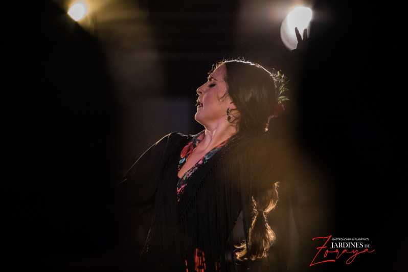 Granada: espectáculo flamenco Albaicín - Jardines de Zoraya