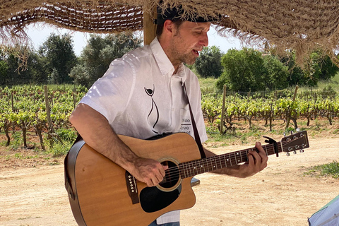 Albufeira and Vilamoura: Wine Tour, Tastings, Tapas & Music Shared Tour without Pickup