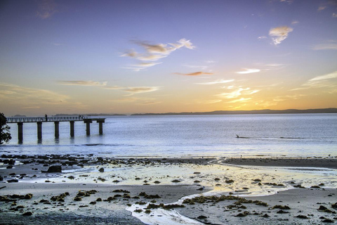 Auckland Half Day Tour Through Urban Wonders