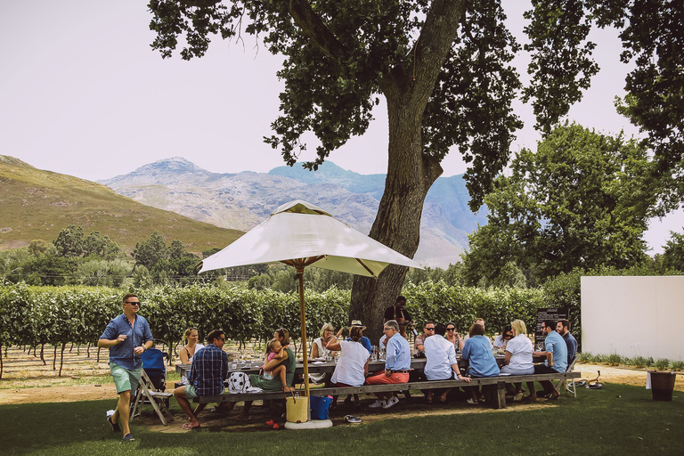 Vanuit Kaapstad: Franschhoek Wijn Tram Hop-on Hop-off08.00 - 08.30 uur Vertrek - Navy Line (trambus)