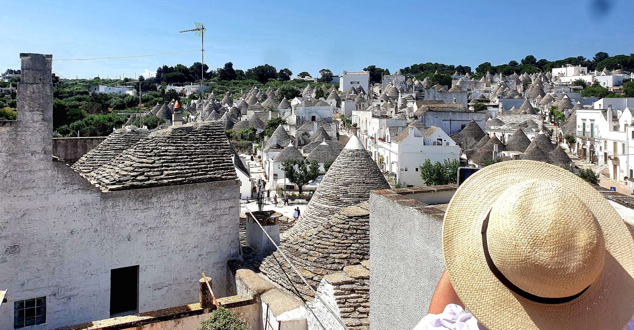 Ostuni: Alberobello, Locorotondo, Ostuni & Apulian brunch photo 7