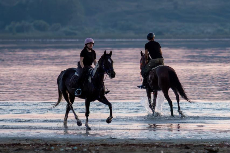 Durrës: 1-Hour Horseback Riding for Experienced Riders