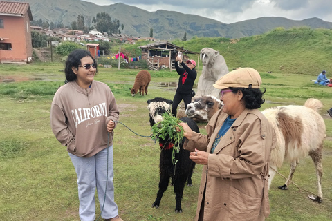 Autocarro aberto na cidade de Cusco, passeio de 3 horas com vistas panorâmicasÔnibus aberto em Cusco, passeio de 3 horas com vistas panorâmicas