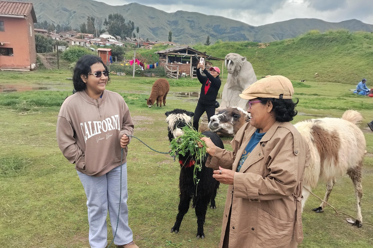 Autocarro aberto na cidade de Cusco, passeio de 3 horas com vistas panorâmicasÔnibus aberto em Cusco, passeio de 3 horas com vistas panorâmicas