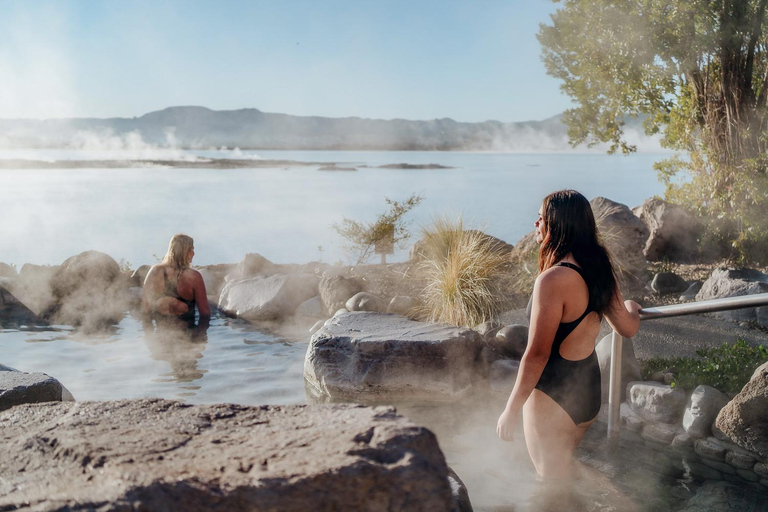 From Auckland:Rotorua Day Trip with Te Puia & Polynesian Spa