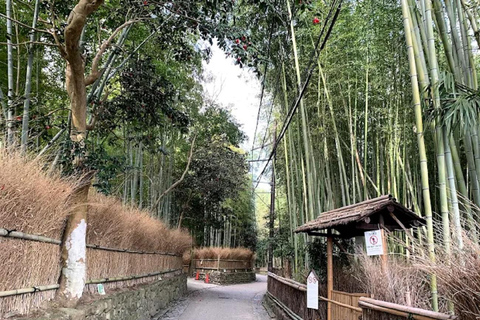 Kyoto: Guided Tour of Great Festivals and Cultural Events 8-Hour Romantic Couple’s Tour in Kyoto