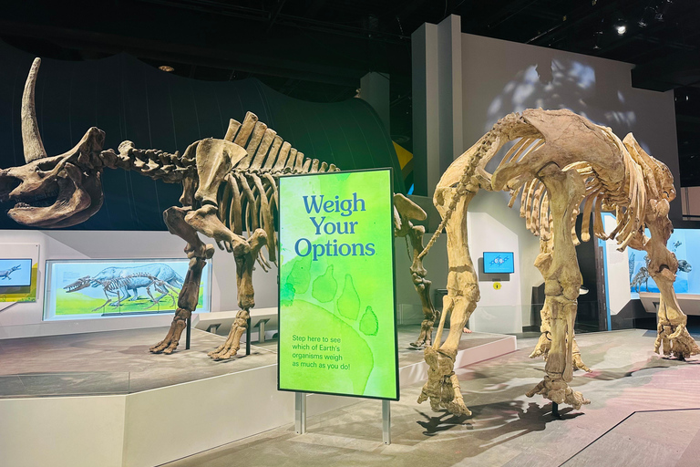 Badlands Tour: Drumheller with Museum, Hoodoos & Dinosaurs Booking Option for Summer 2026