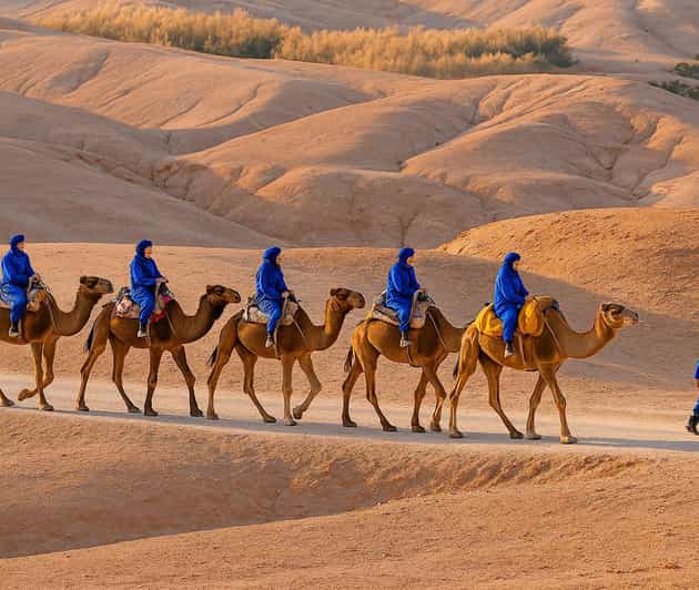 Depuis Marrakech : balade en chameau dans le désert d'Agafay avec dîner-spectacle - dromadaire