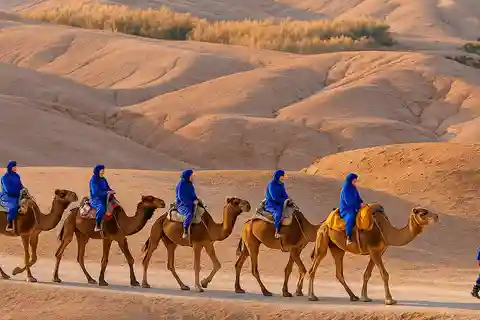 Din Marrakech: Agafay Sunset Camel Tour cu cină și spectacol