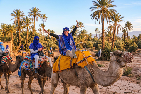 Marrakech: Palmeraie Camel Ride with Mint Tea & Pickup
