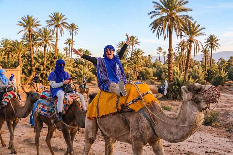 Marrakech: Palmeraie Camel Ride with Mint Tea & Pickup