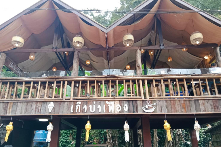 Chiang Mai: Mae Kampong Village, varma källor och Bor Sang Tour