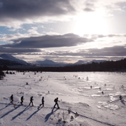 Tromsø: Easy Snowshoeing Tour with Coffee and Cake