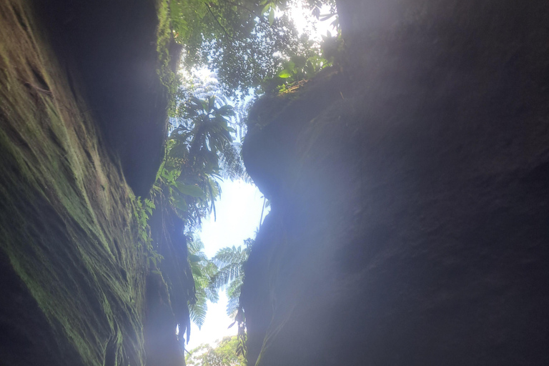Roseau: Rainforest tour of Trafalgar Waterfalls & Geysers.