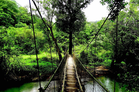 From Bangalore: 7 Days Coorg & Hassan Heritage Private Tour