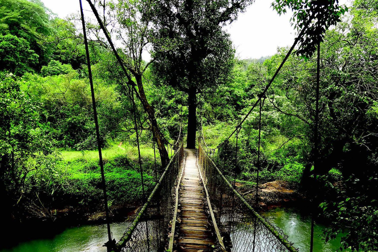 From Bangalore: 7 Days Coorg & Hassan Heritage Private Tour