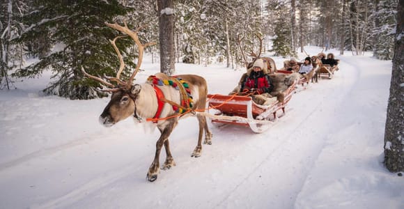 Rovaniemi: Winter Reindeer Safari at Santa Claus Village
