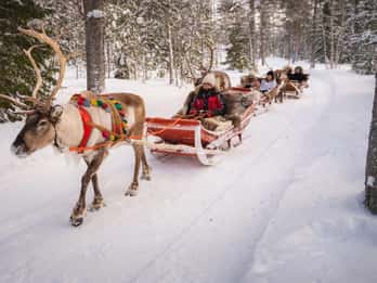 Safari de 2–3 km au Village du Père Noël