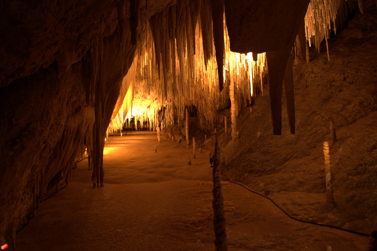 Hobart: Dagsutflykt Tahune Airwalk &amp; Hastings Caves Active Tour