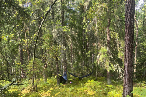 Bagno nella foresta nella natura di Stoccolma con guida certificataBagno nella foresta con cerimonia del tè nella riserva naturale di muschio