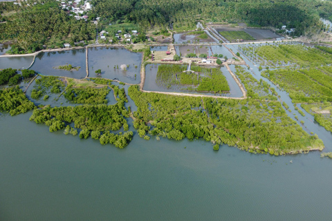 Bagek Kembar: Mangrove & Stingless Beekeeping Experience