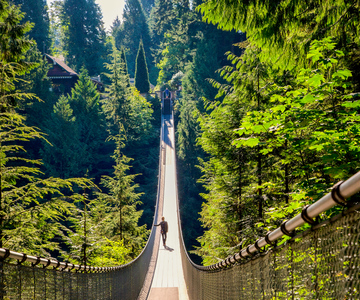 Vancouver: Capilano Suspension Bridge Park Entry Ticket
