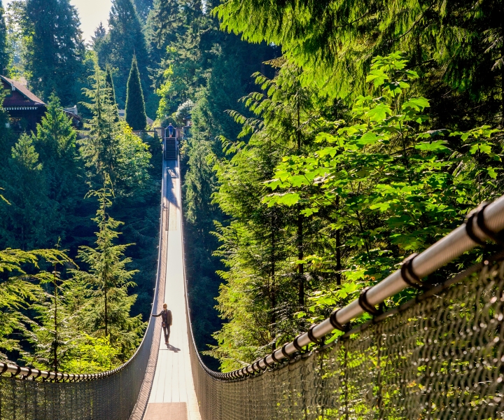 Vancouver: Entrada al Parque del Puente Colgante de Capilano