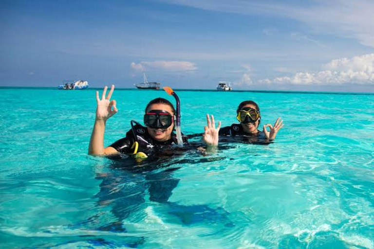 Zanzibar:Mnemba Dolphin Spotting+Aquarium+ Kendwa Beach Escp