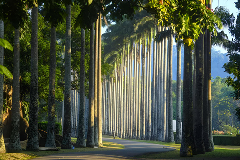 2-Day Kandy Escape: Botanical Gardens, Views & Ayurvedic Spa