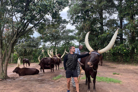 Kigali: 7-Day Safari, Wildlife Immersion, Big 5 to Gorillas