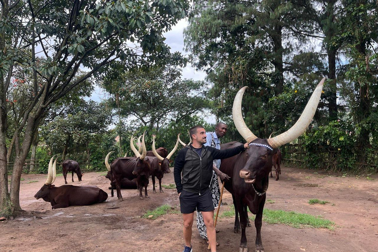 Kigali: 7-Day Safari, Wildlife Immersion, Big 5 to Gorillas