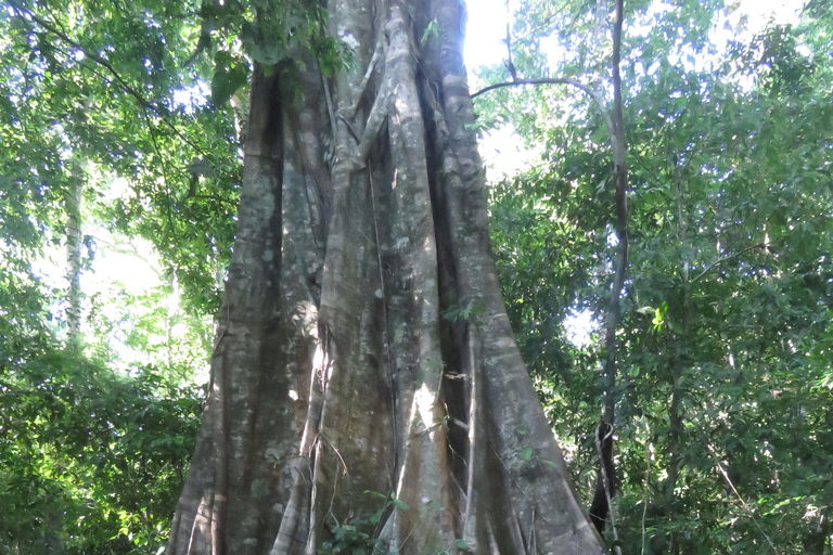 Puerto Maldonado: Tambopata Expeditions 4 Days (expeditions) Puerto Maldonado: Tambopata Expeditions 4 days (expeditions)