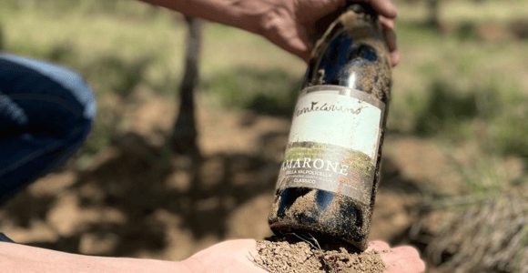 Boutique Winery Tour & Tasting in Valpolicella