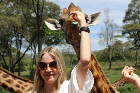 7 giorni di safari urbano e nella savana in Kenya