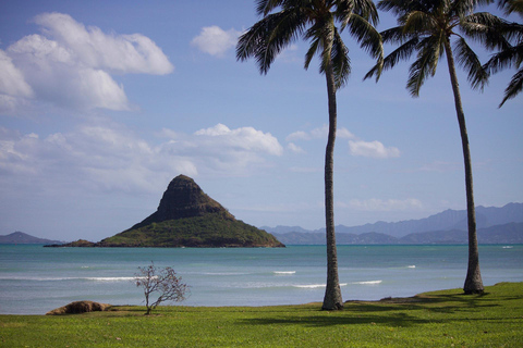 Visite des sites touristiques et des magasins d&#039;Oahu